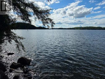 1258-2 WINDERMERE ROAD Muskoka Lakes (Watt) Ontario photo 44