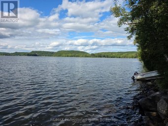 1258-2 WINDERMERE ROAD Muskoka Lakes (Watt) Ontario photo 45