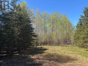 9 SKI HILL ROAD Kapuskasing Ontario photo 15