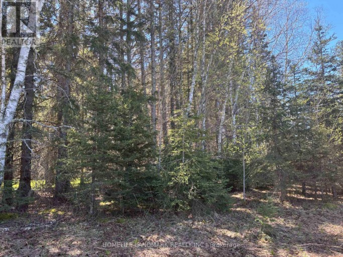 9 SKI HILL ROAD, Kapuskasing, Ontario, P0L1V0