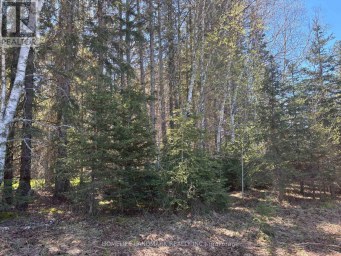 9 SKI HILL ROAD Kapuskasing Ontario photo 17