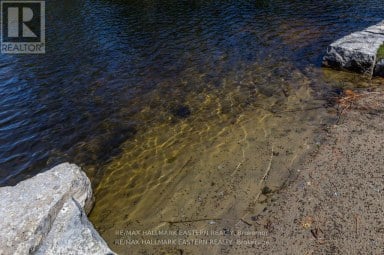 1810 HULL ROAD Douro-Dummer Ontario photo 35