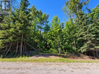 4896 PENETANGUISHENE ROAD Springwater Ontario photo 1