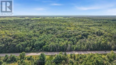 4896 PENETANGUISHENE ROAD Springwater Ontario photo 10