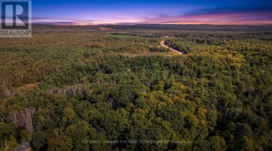 4896 PENETANGUISHENE ROAD Springwater Ontario photo 2