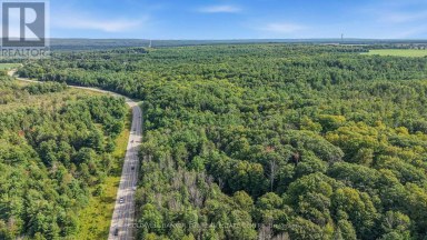 4896 PENETANGUISHENE ROAD Springwater Ontario photo 4