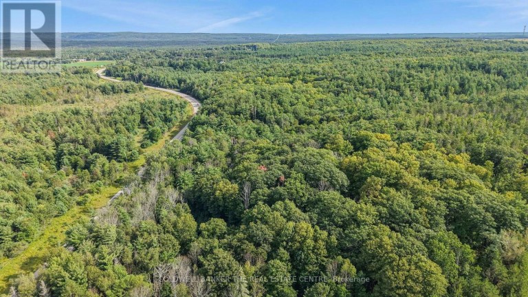 4896 PENETANGUISHENE ROAD, Springwater, Ontario, L0L1V0