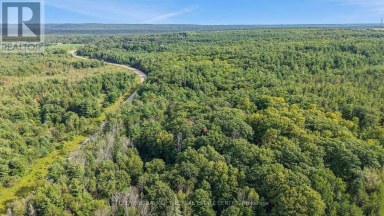 4896 PENETANGUISHENE ROAD Springwater Ontario photo 5