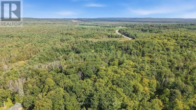 4896 PENETANGUISHENE ROAD Springwater Ontario photo 6