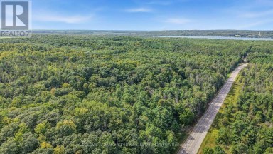 4896 PENETANGUISHENE ROAD Springwater Ontario photo 8