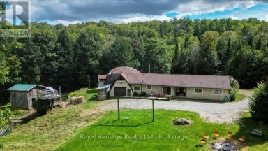174 BIERWORTH ROAD Faraday Ontario photo 38