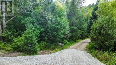 174 BIERWORTH ROAD Faraday Ontario photo 44