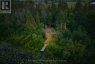 32 MCLARENS CREEK ROAD, Kawartha Lakes (fenelon), Ontario, K0M1G0 (ID X13751664)