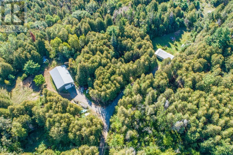244 DUTCH LINE ROAD W, Trent Lakes, Ontario, K0M2A0