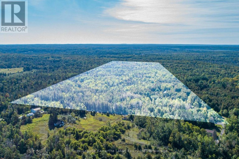 244 DUTCH LINE ROAD W, Trent Lakes, Ontario, K0M2A0