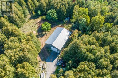 244 DUTCH LINE ROAD W Trent Lakes Ontario photo 3