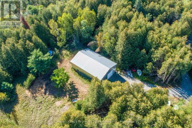 244 DUTCH LINE ROAD W Trent Lakes Ontario photo 5