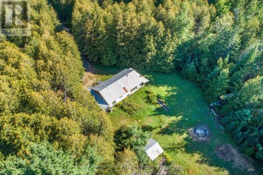 244 DUTCH LINE ROAD W Trent Lakes Ontario photo 6