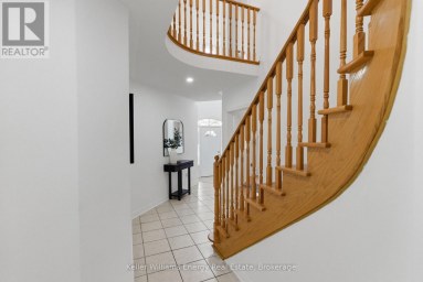 338 DOWSON LOOP Newmarket (Woodland Hill) Ontario photo 20