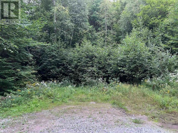 0 ALBION LAKE DRIVE, Faraday, Ontario, K0L1C0