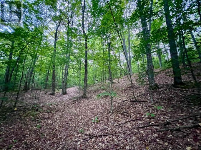 0 ALBION LAKE DRIVE, Faraday, Ontario, K0L1C0