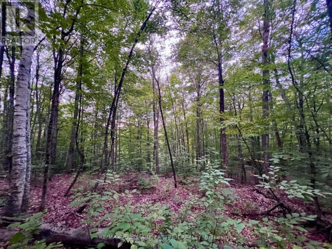 0 ALBION LAKE DRIVE, Faraday, Ontario, K0L1C0