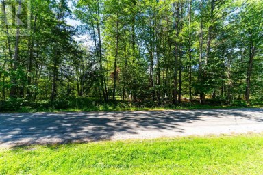 1088 SHENNAMERE ROAD Muskoka Lakes (Watt) Ontario photo 18