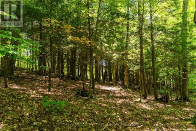 1088 SHENNAMERE ROAD Muskoka Lakes (Watt) Ontario photo 21