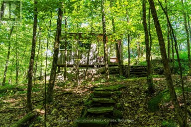 1088 SHENNAMERE ROAD Muskoka Lakes (Watt) Ontario photo 22