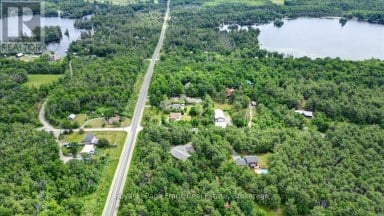 2166 6TH LINE DUMMER ROAD N Douro-Dummer Ontario photo 42