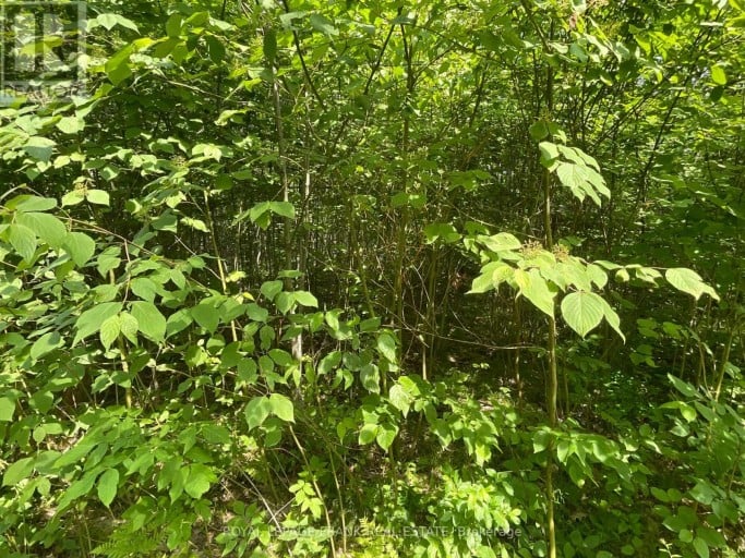 0 SUGARBUSH CRESCENT, Trent Lakes, Ontario, K0L1J0