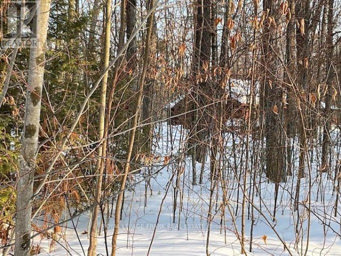 0 SUGARBUSH CRESCENT, Trent Lakes, Ontario, K0L1J0