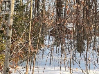 0 SUGARBUSH CRESCENT Trent Lakes Ontario photo 11