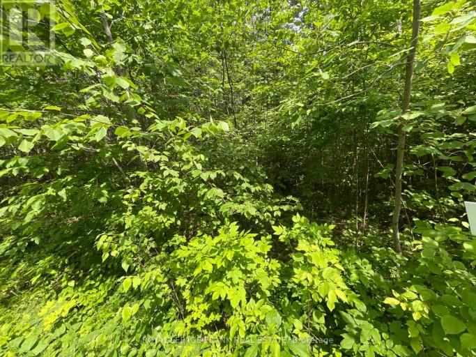 0 SUGARBUSH CRESCENT, Trent Lakes, Ontario, K0L1J0