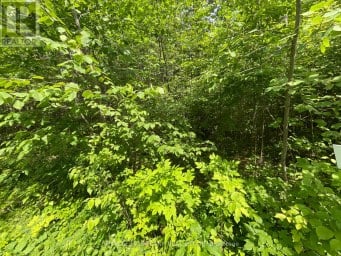0 SUGARBUSH CRESCENT Trent Lakes Ontario photo 2