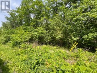 0 SUGARBUSH CRESCENT Trent Lakes Ontario photo 4