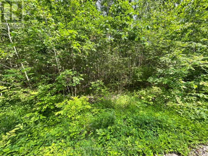 0 SUGARBUSH CRESCENT, Trent Lakes, Ontario, K0L1J0