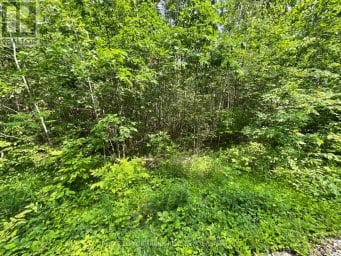 0 SUGARBUSH CRESCENT Trent Lakes Ontario photo 6