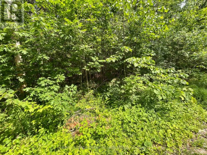 0 SUGARBUSH CRESCENT, Trent Lakes, Ontario, K0L1J0