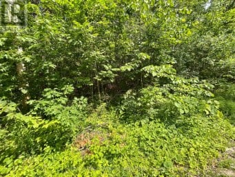 0 SUGARBUSH CRESCENT Trent Lakes Ontario photo 7