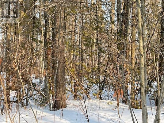 0 SUGARBUSH CRESCENT, Trent Lakes, Ontario, K0L1J0