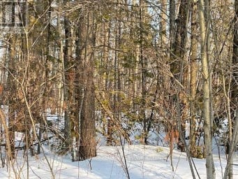 0 SUGARBUSH CRESCENT Trent Lakes Ontario photo 8