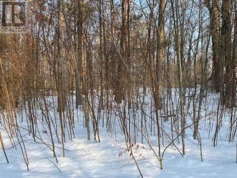 0 SUGARBUSH CRESCENT Trent Lakes Ontario photo 9