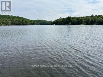 1981 HORSESHOE LAKE ROAD Minden Hills (Minden) Ontario photo 47