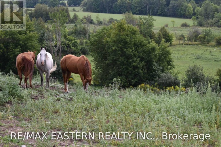 583 SECOND LINE, Douro-Dummer, Ontario, K0L2B0
