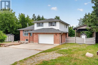 3132 RAVENSHOE ROAD Georgina (Belhaven) Ontario photo 1