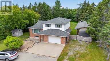 3132 RAVENSHOE ROAD Georgina (Belhaven) Ontario photo 6