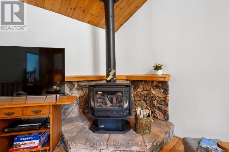 25 LITTLE SILVER LAKE WAY, Trent Lakes, Ontario, K0M1A0