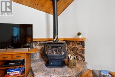 25 LITTLE SILVER LAKE WAY Trent Lakes Ontario photo 11