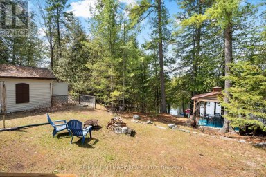 25 LITTLE SILVER LAKE WAY Trent Lakes Ontario photo 32